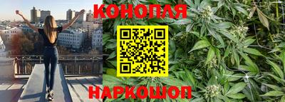 винт Кимры