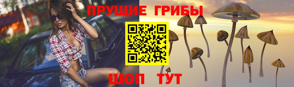 Конаково  Галлюциногенные грибы Psilocybe  Вход с VPN 